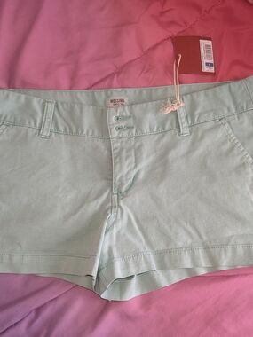Mossimo Supply Co. Women's Mint Green Casual Shorts